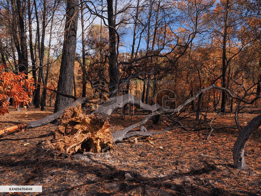 Illustration - Corbieres