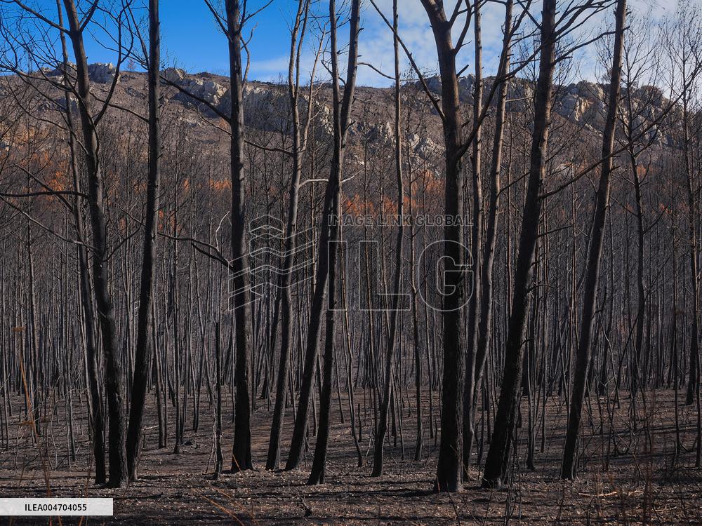 Illustration - Corbieres