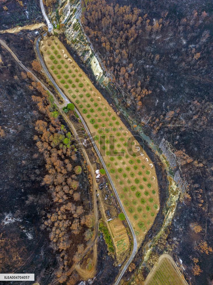 Illustration - Corbieres