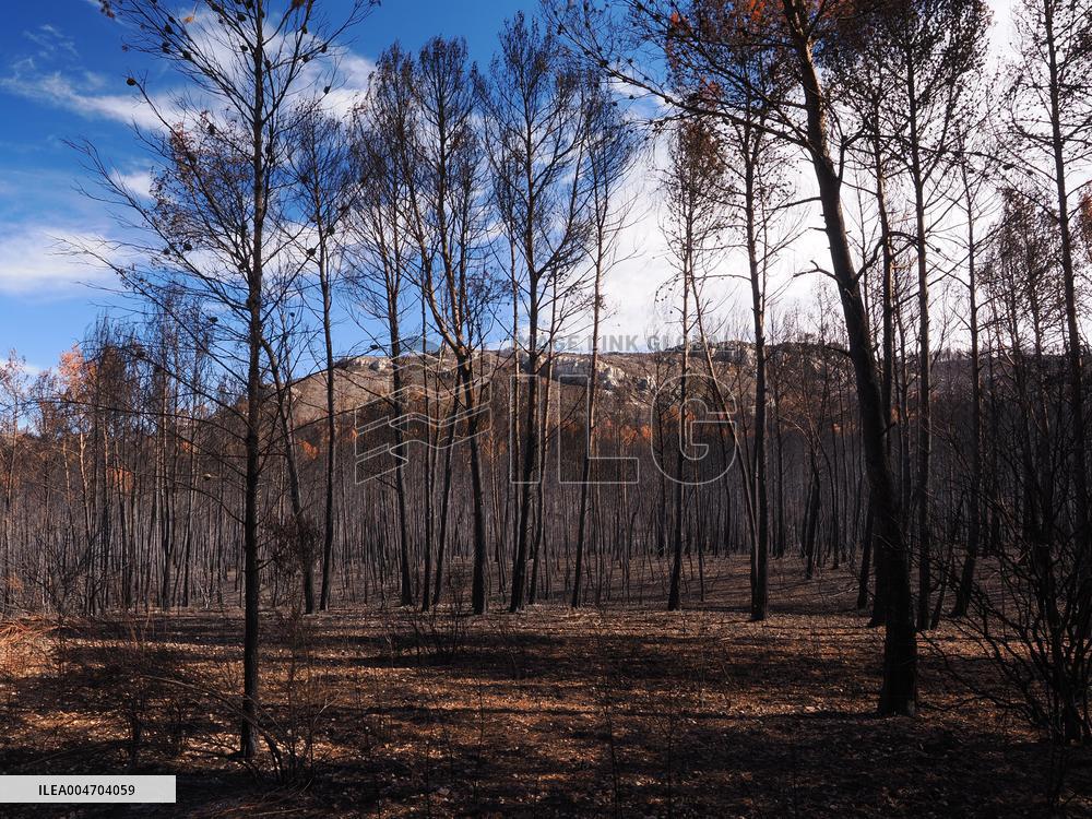 Illustration - Corbieres