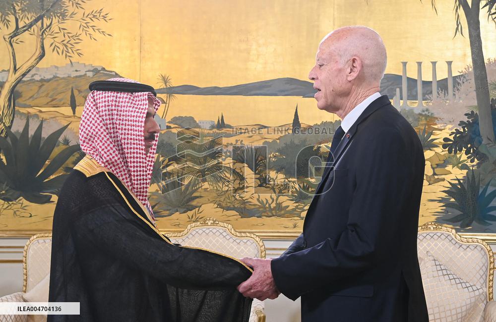 President Meets Saudi FM In Tunis - Tunisia