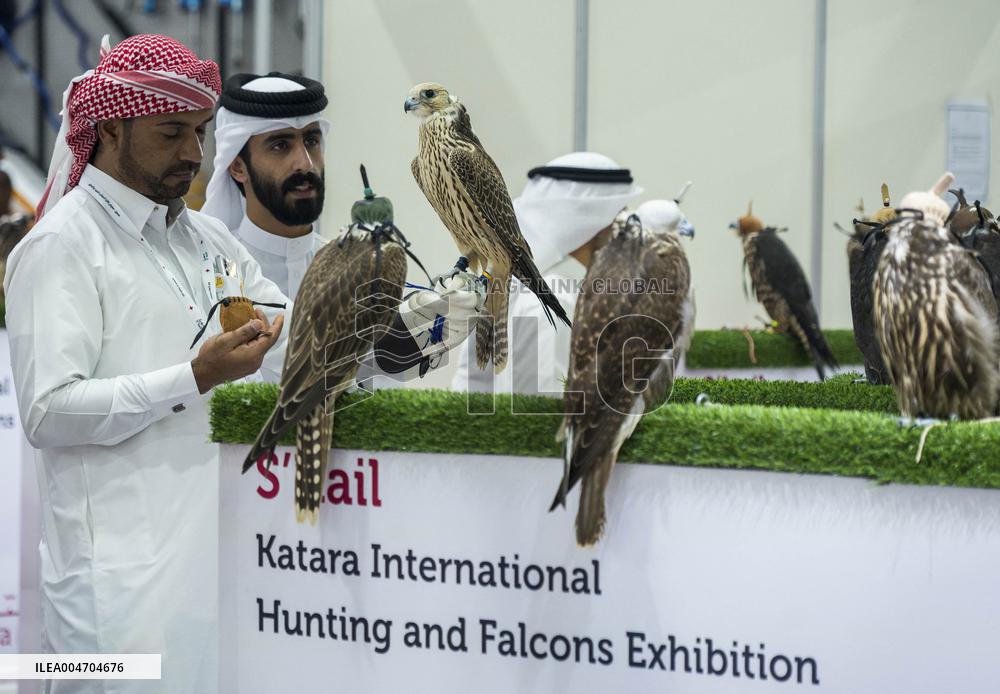 Hunting And Falcons Exhibition In Doha - Qatar