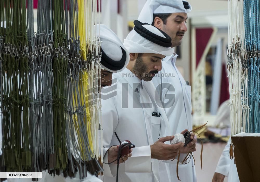Hunting And Falcons Exhibition In Doha - Qatar