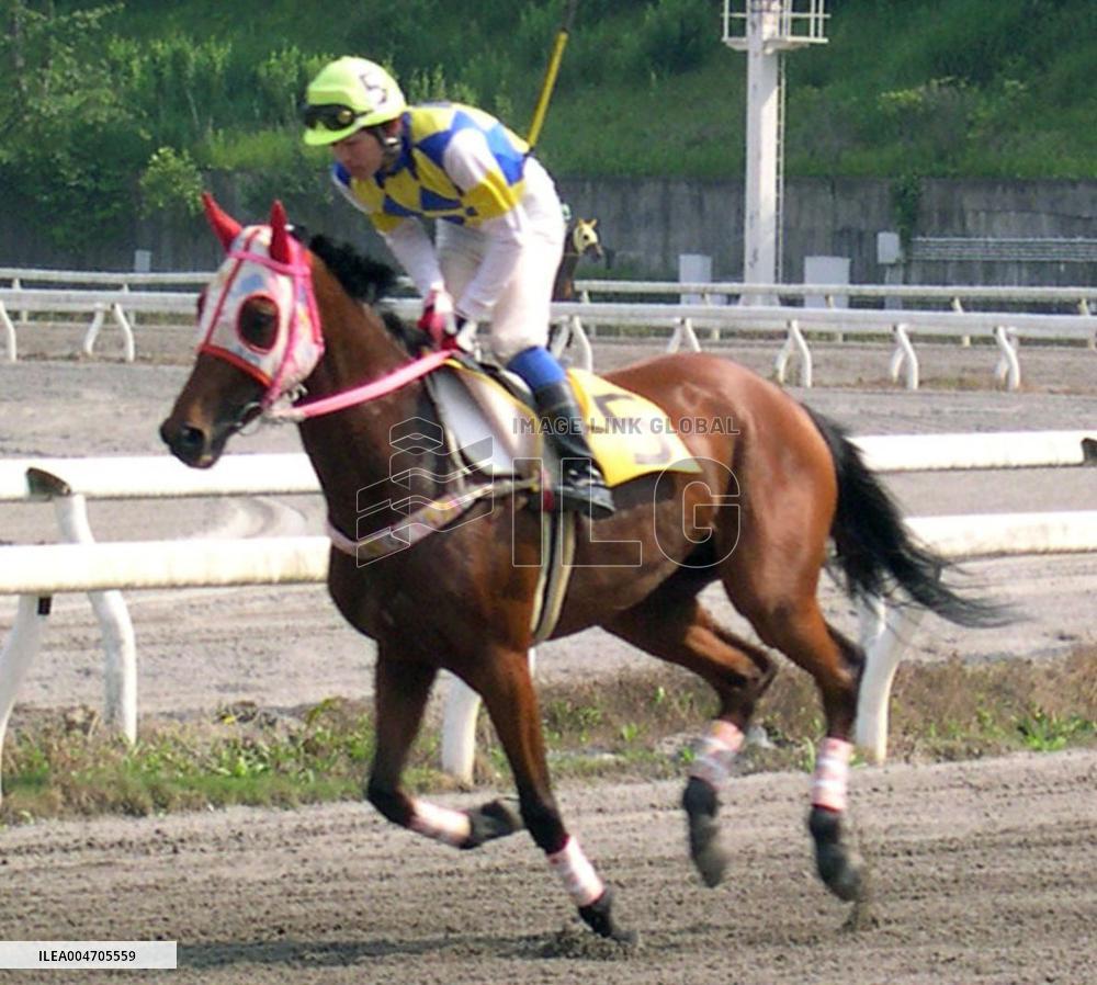 Famed Japanese racehorse Haru Urara dies