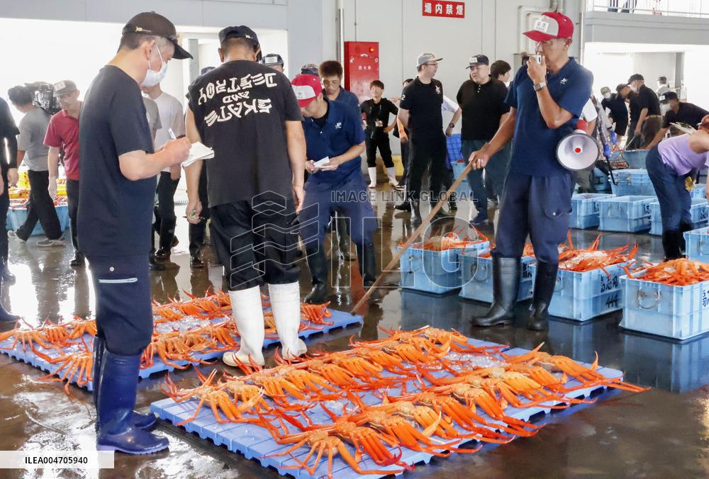 Red snow crab catch in central Japan