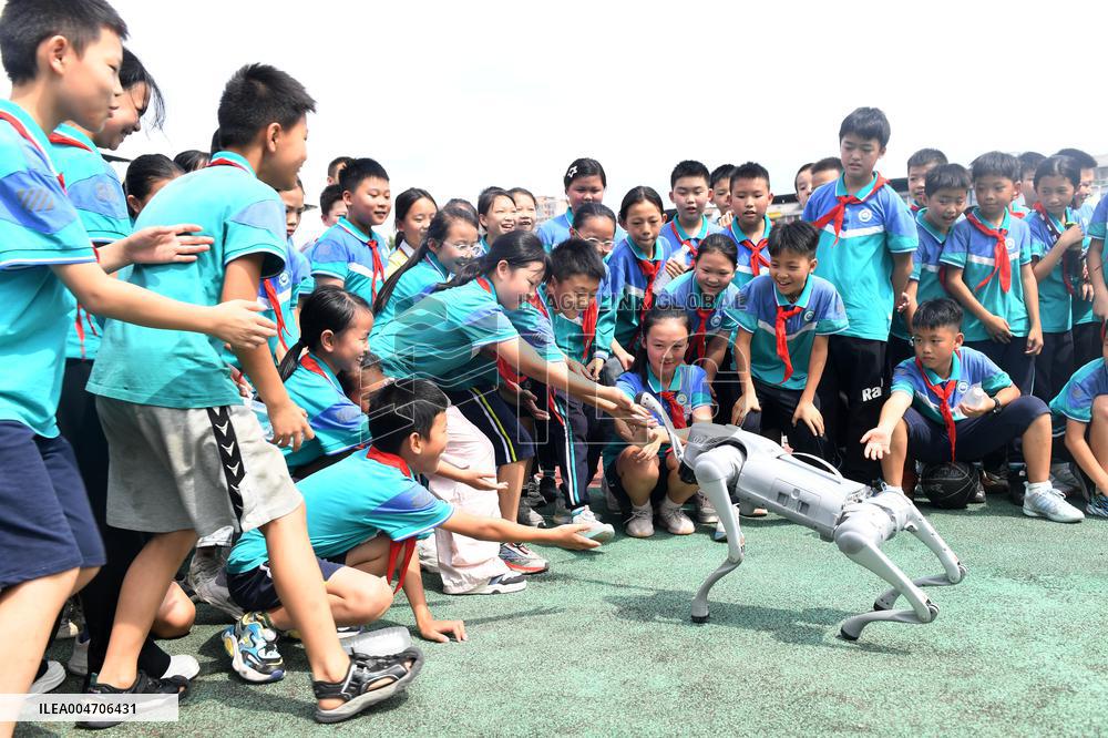 Science Popularization in Primary School