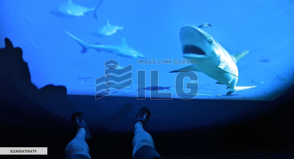 BC EARTH: LIFE AT EXTREMES Digital Image Exhibition First Exhibition in Shanghai,