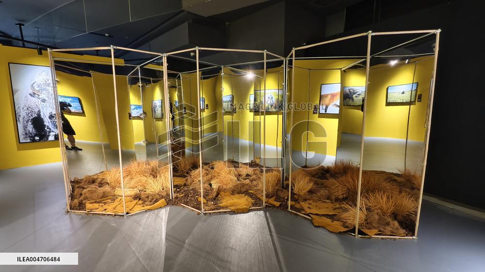 BC EARTH: LIFE AT EXTREMES Digital Image Exhibition First Exhibition in Shanghai,