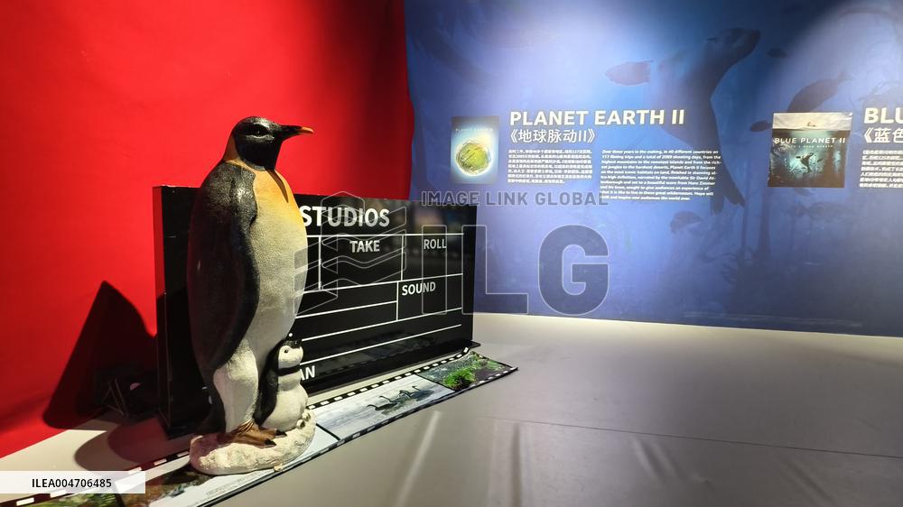 BC EARTH: LIFE AT EXTREMES Digital Image Exhibition First Exhibition in Shanghai,