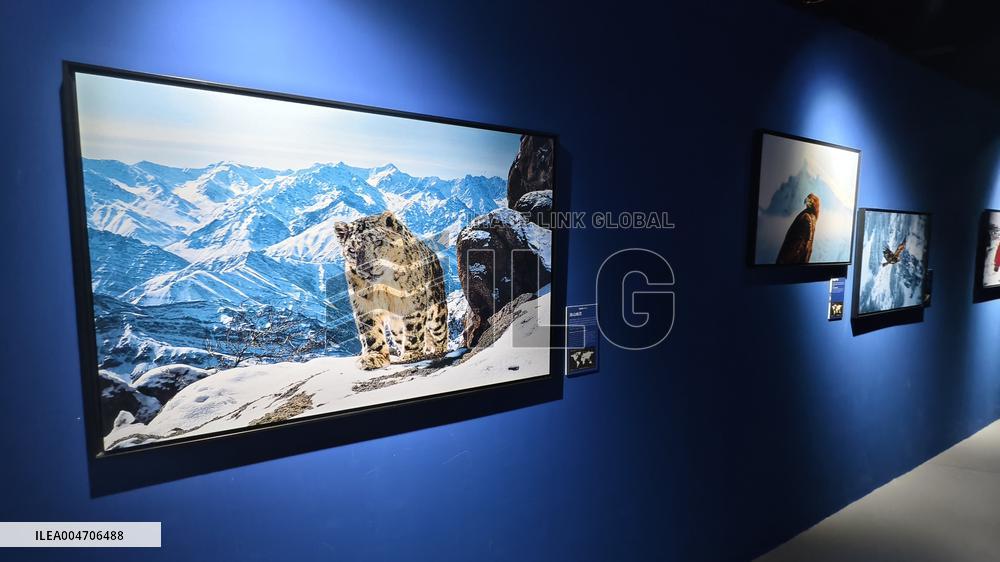 BC EARTH: LIFE AT EXTREMES Digital Image Exhibition First Exhibition in Shanghai,