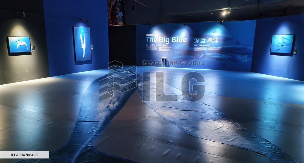 BC EARTH: LIFE AT EXTREMES Digital Image Exhibition First Exhibition in Shanghai,