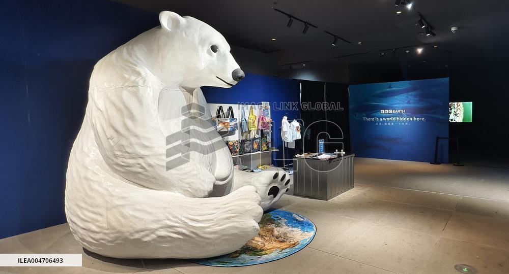 BC EARTH: LIFE AT EXTREMES Digital Image Exhibition First Exhibition in Shanghai,