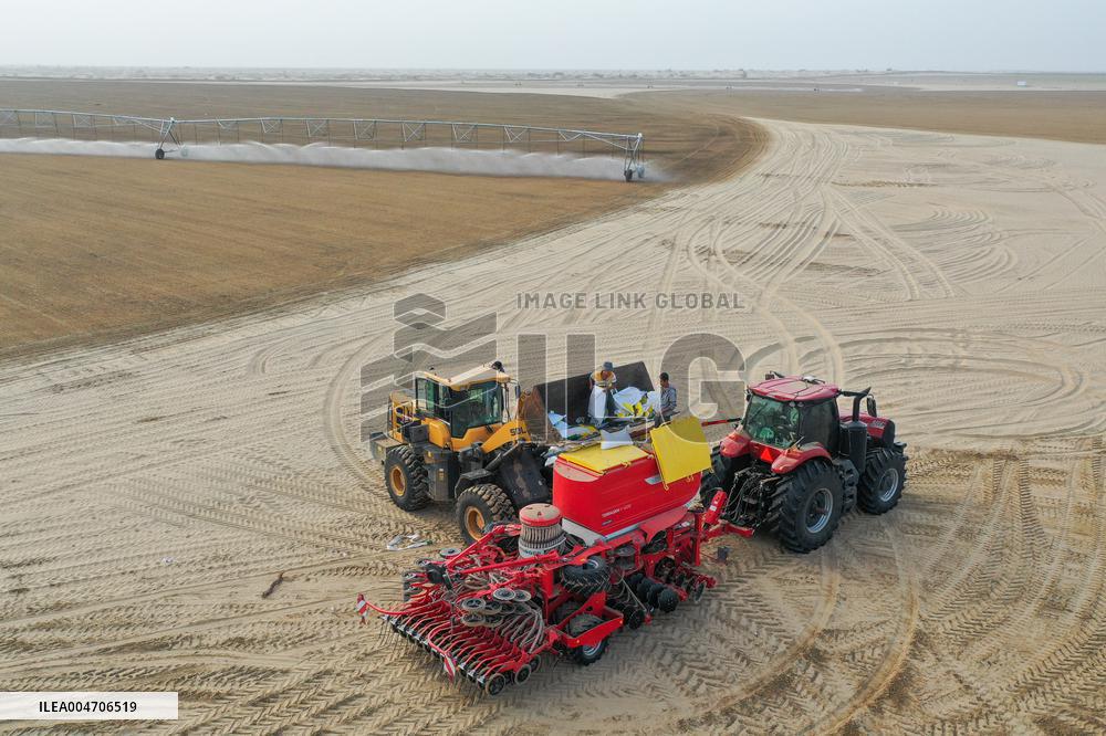 Alfalfa Planting Demonstration Base - China
