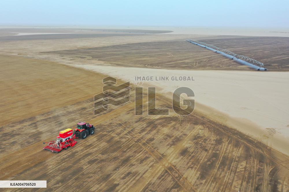 Alfalfa Planting Demonstration Base - China