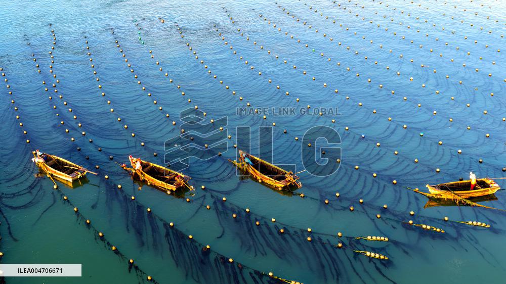 Fishermen at Work Aboard Their Boats - China