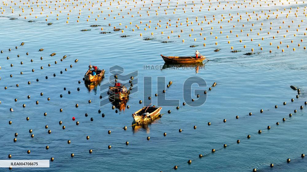 Fishermen at Work Aboard Their Boats - China