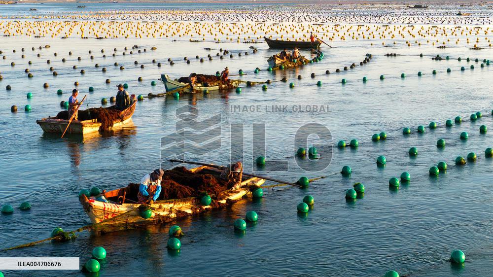 Fishermen at Work Aboard Their Boats - China