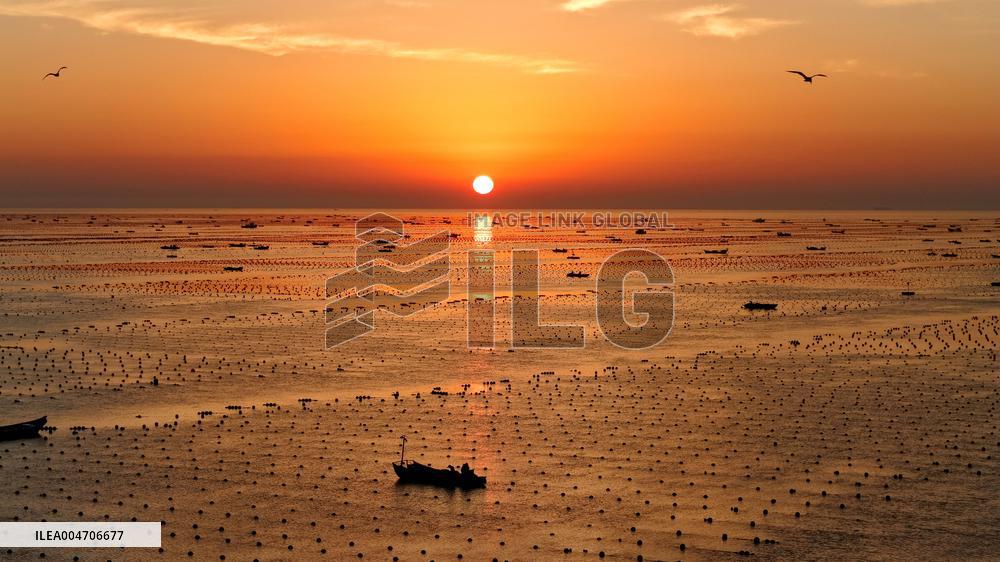 Fishermen at Work Aboard Their Boats - China