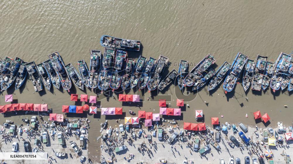Autumn Harvest - China