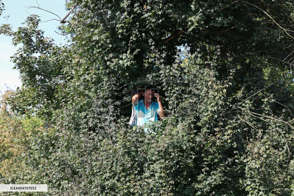 MOTORI - Formula 1 - Pirelli Gran Premio d'Italia 2025