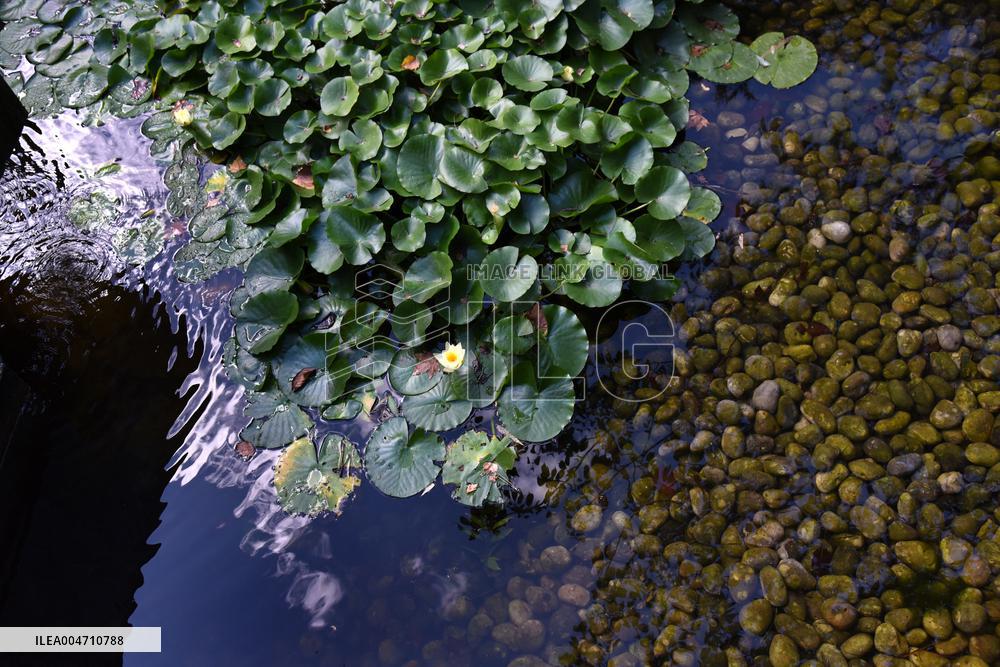 Japanese Garden Of Peace By Isamu Noguchi At Unesco in Paris