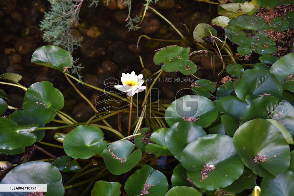 Japanese Garden Of Peace By Isamu Noguchi At Unesco in Paris