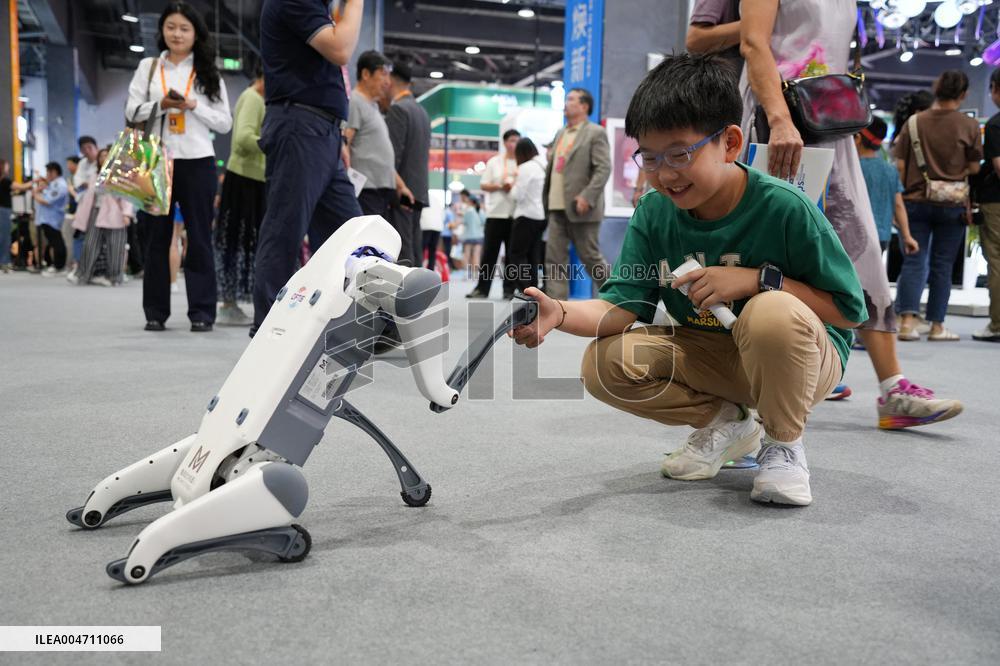 CIFTIS Opens To General Public - China