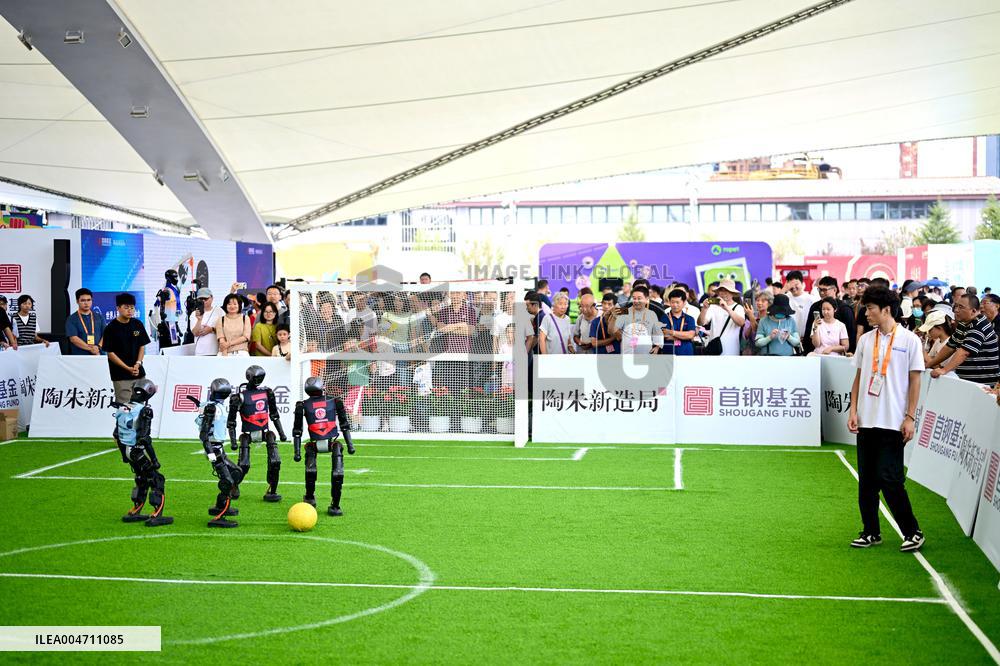 CIFTIS Opens To General Public - China