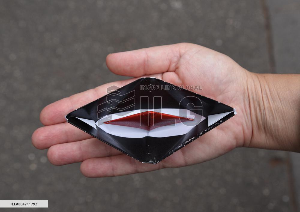 Demonstration In Support Of Palestine And Global Sumud Flotilla - Paris