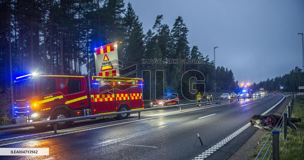 ÄLGOLYCKA SÖDER OM AVESTA