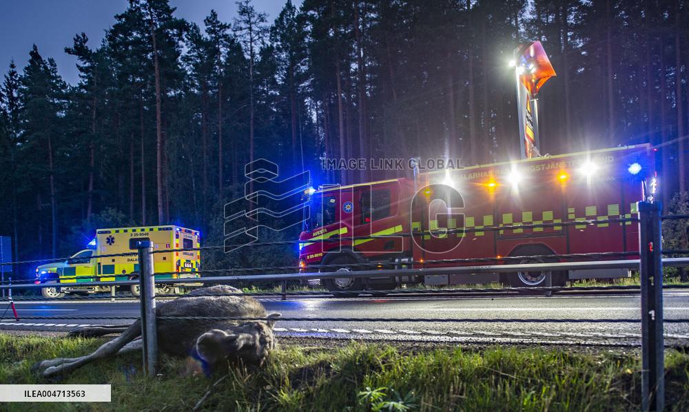 ÄLGOLYCKA SÖDER OM AVESTA