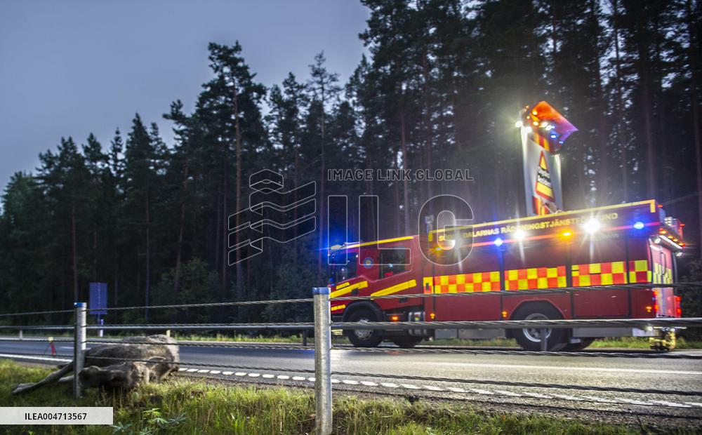 ÄLGOLYCKA SÖDER OM AVESTA