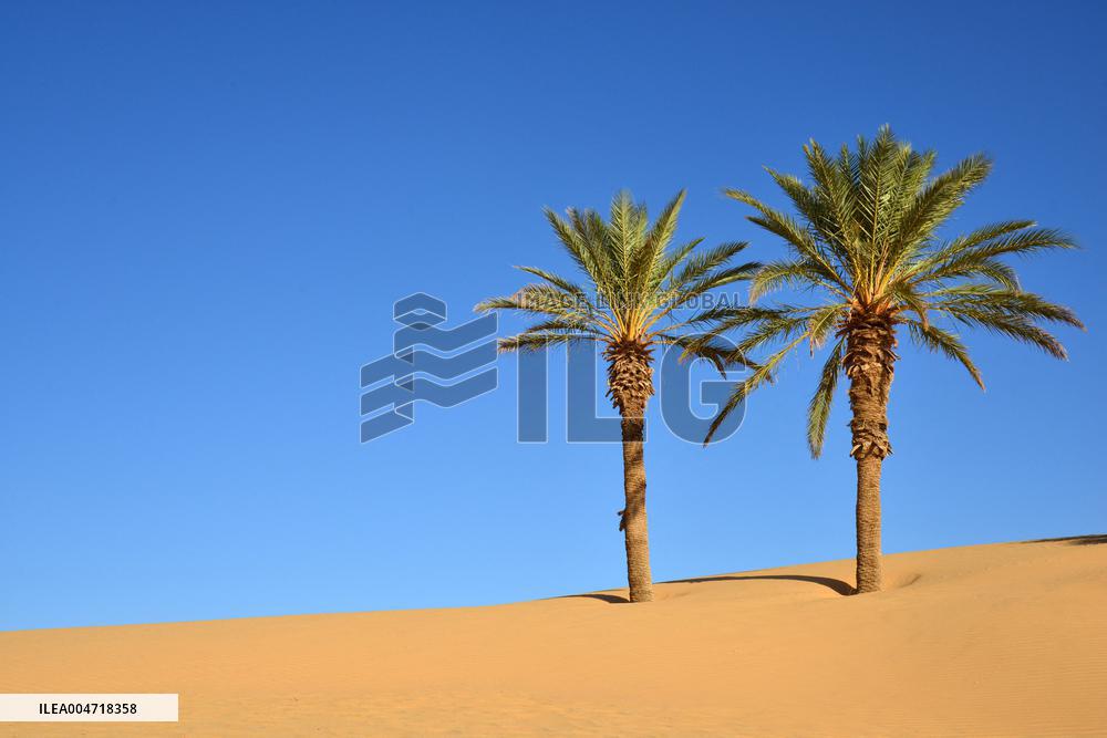 Illustration - Mauritania