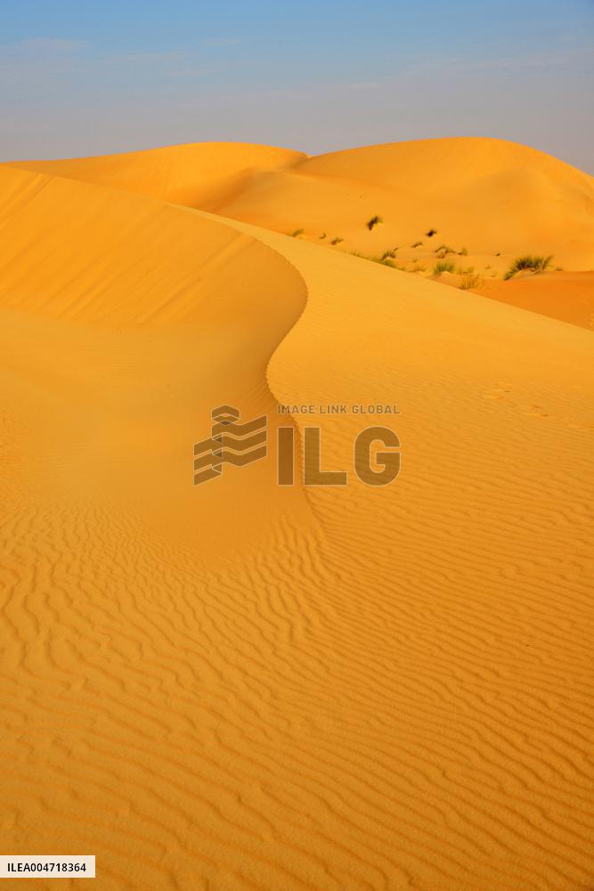 Illustration - Mauritania