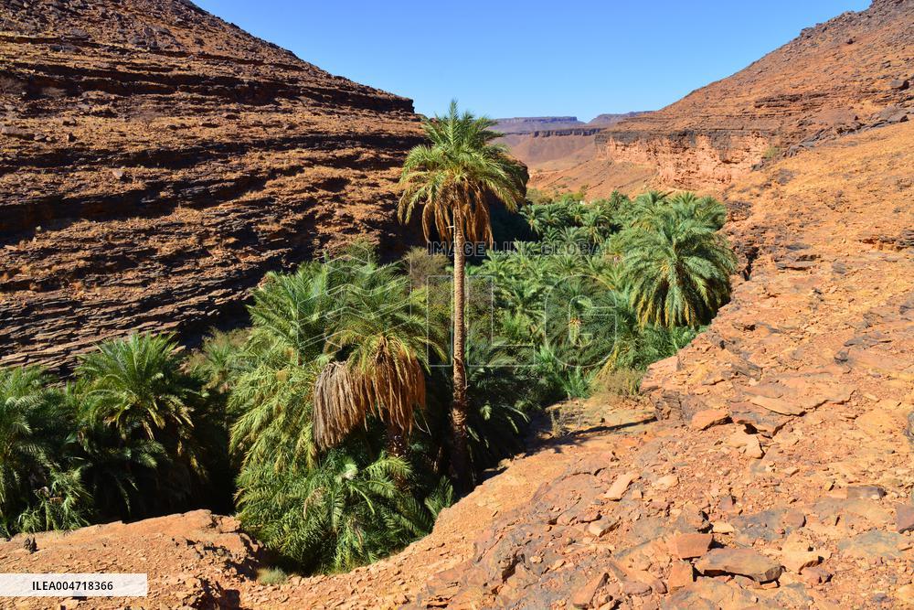 Illustration - Mauritania