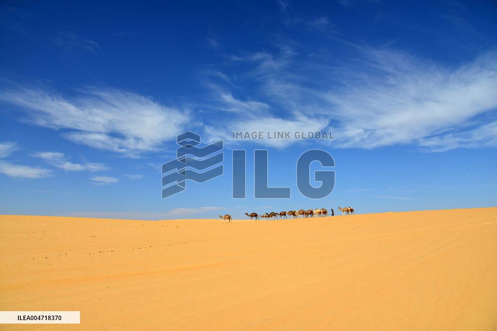 Illustration - Mauritania