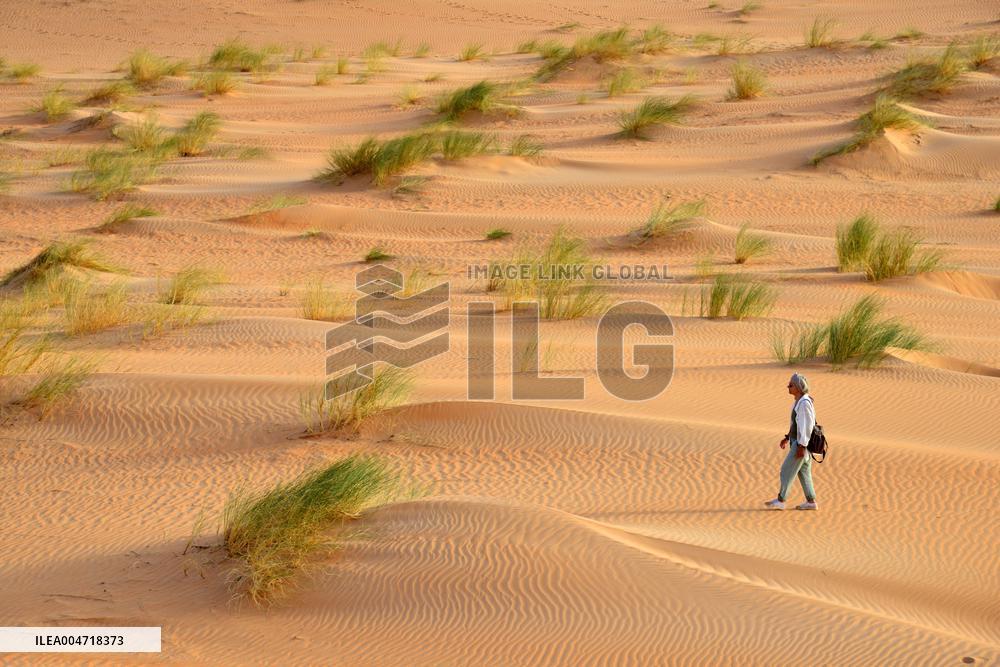Illustration - Mauritania