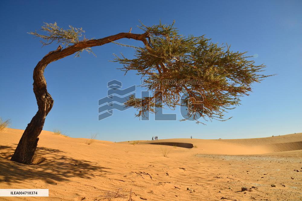 Illustration - Mauritania