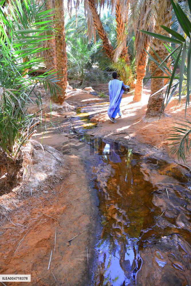 Illustration - Mauritania