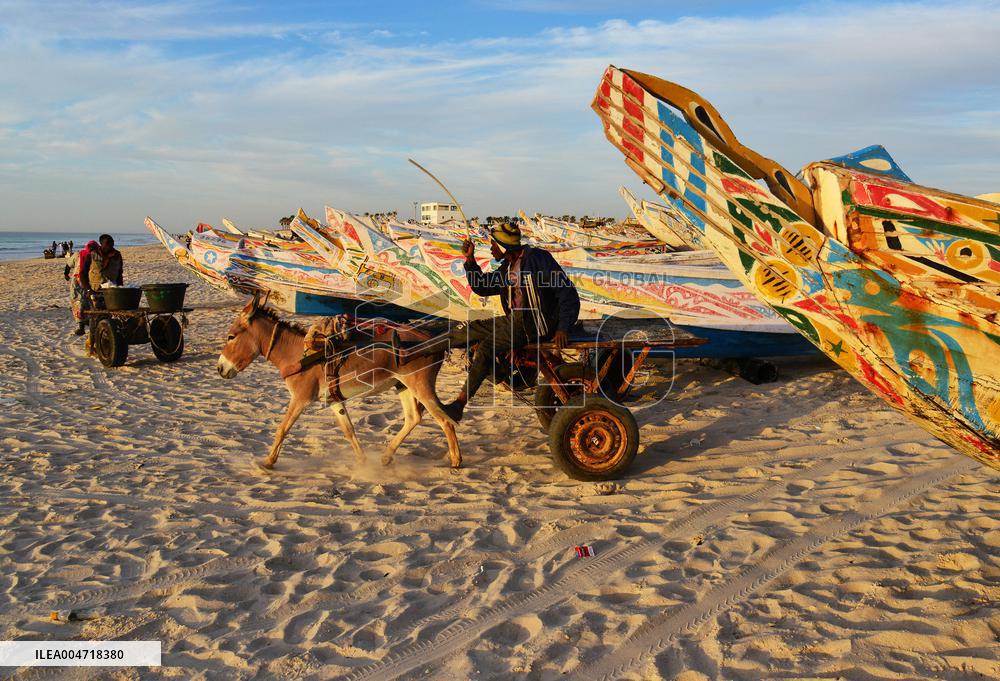 Illustration - Mauritania