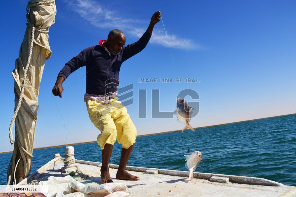 Illustration - Mauritania