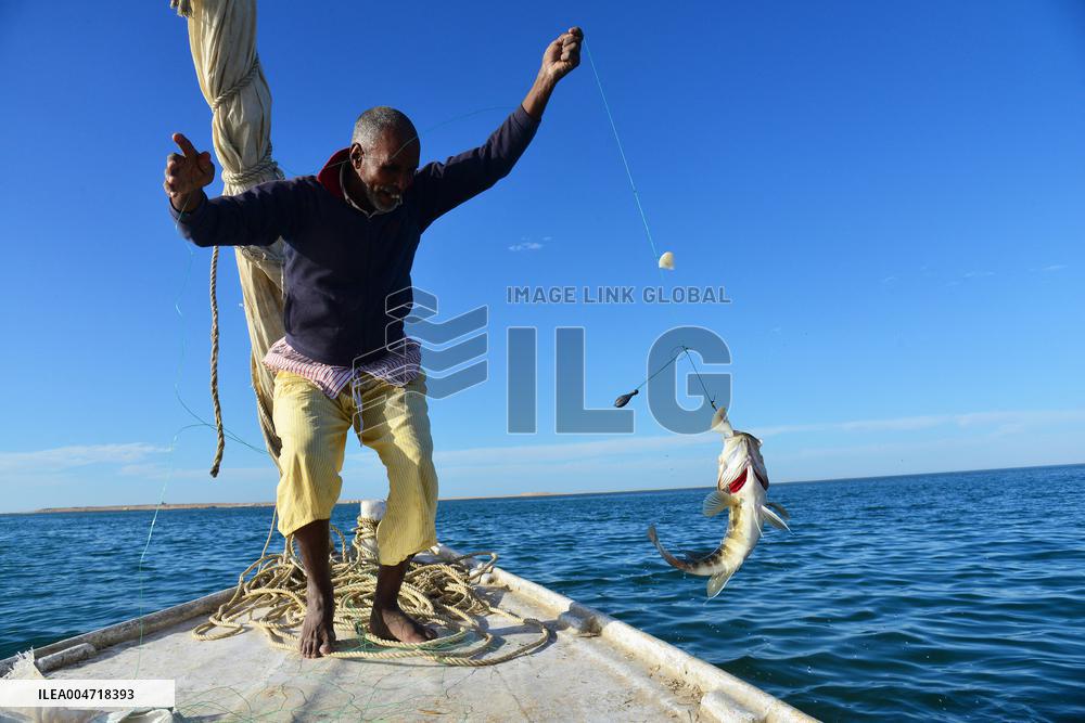 Illustration - Mauritania