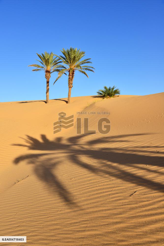 Illustration - Mauritania