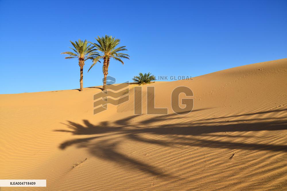 Illustration - Mauritania