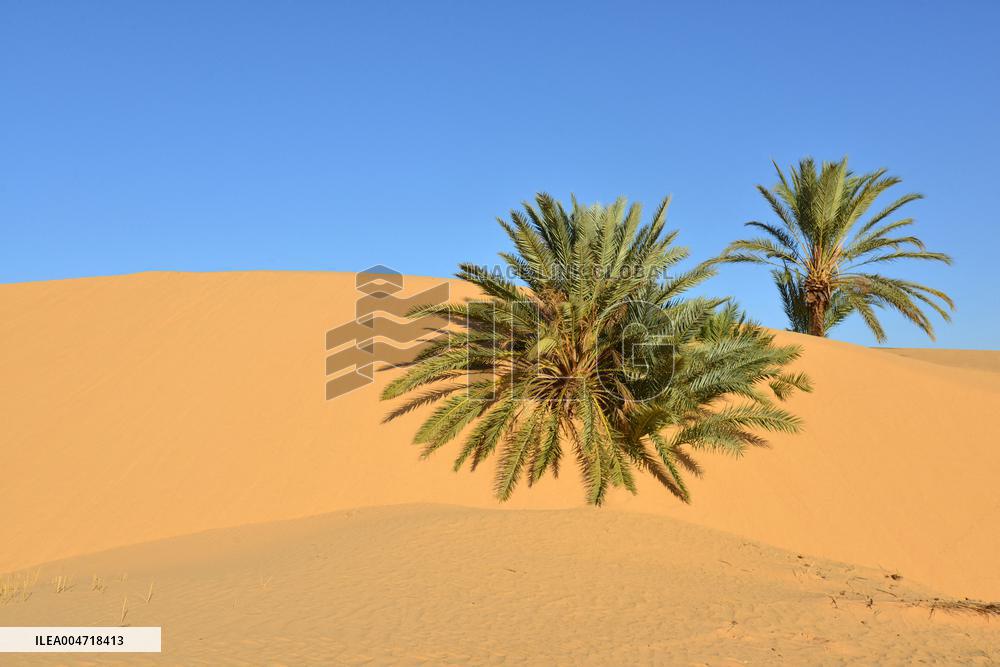 Illustration - Mauritania