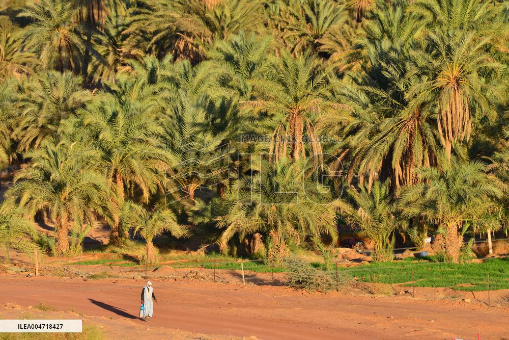 Illustration - Mauritania