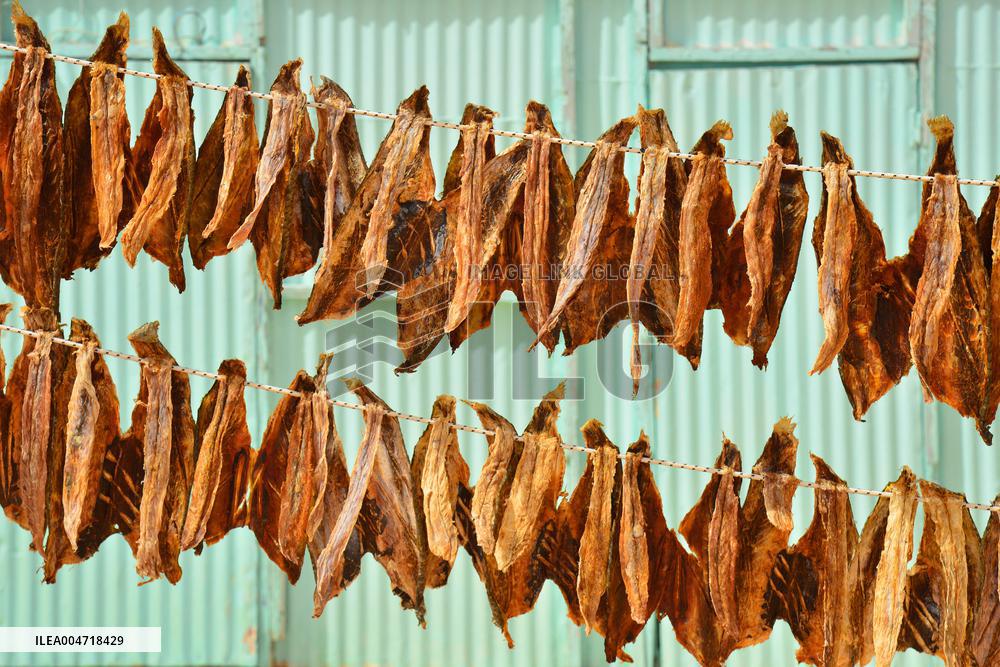 Illustration - Mauritania