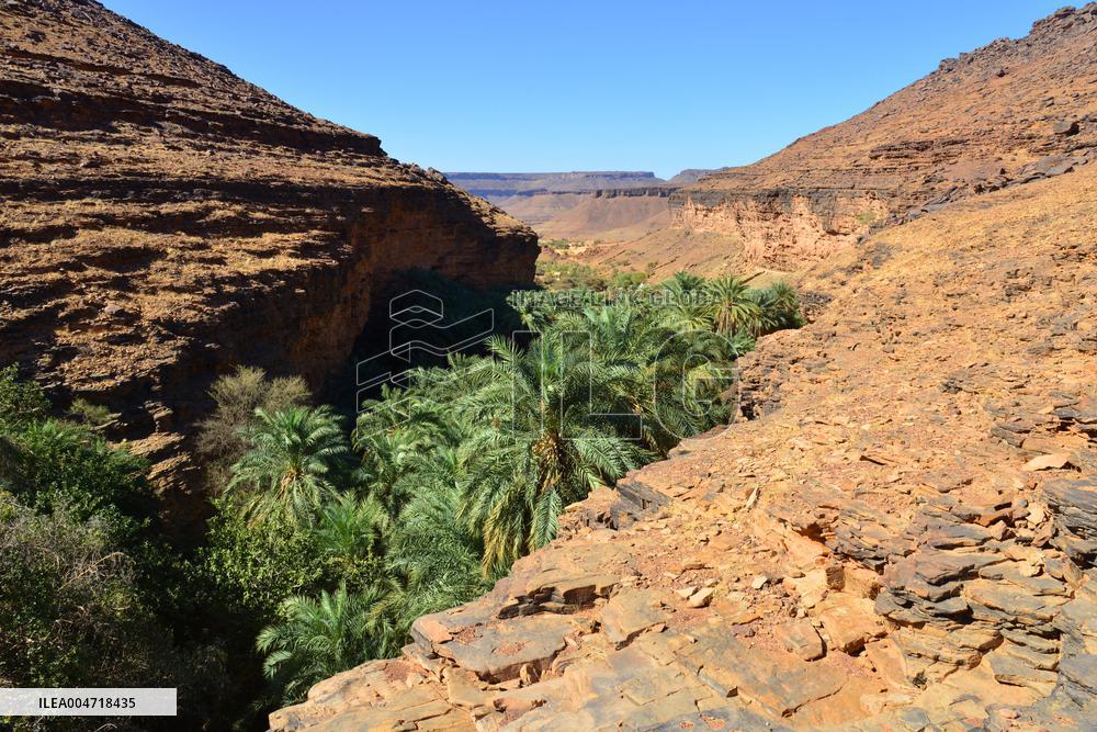 Illustration - Mauritania