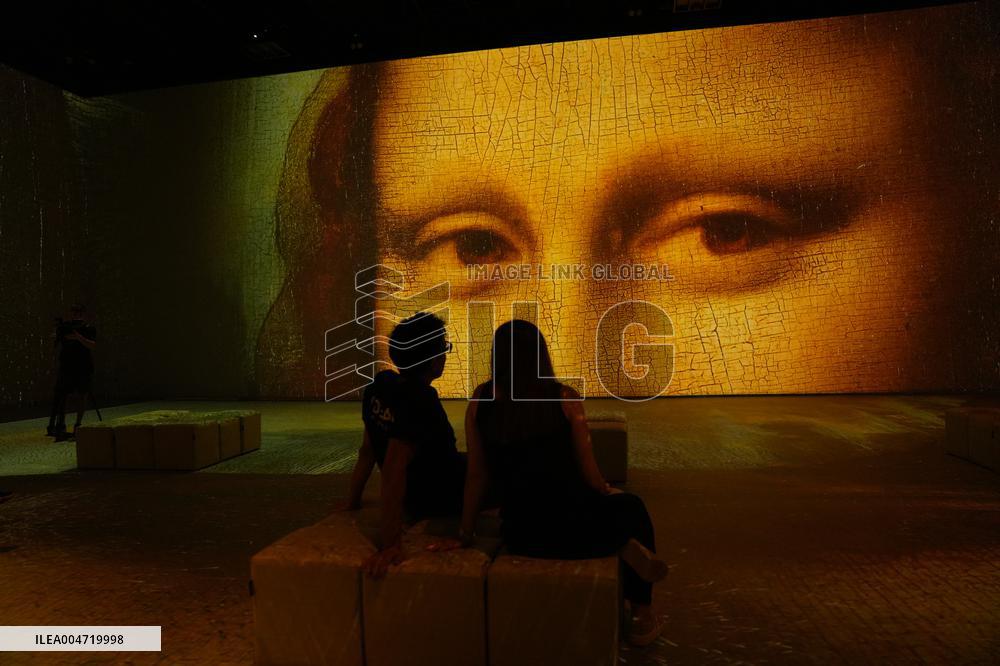 Leonardo versus Michelangelo Exhibition - Barcelona
