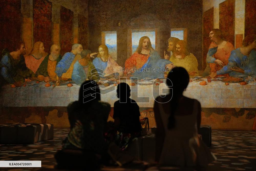 Leonardo versus Michelangelo Exhibition - Barcelona